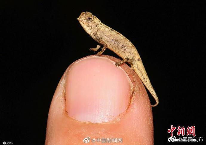 呈贡发布