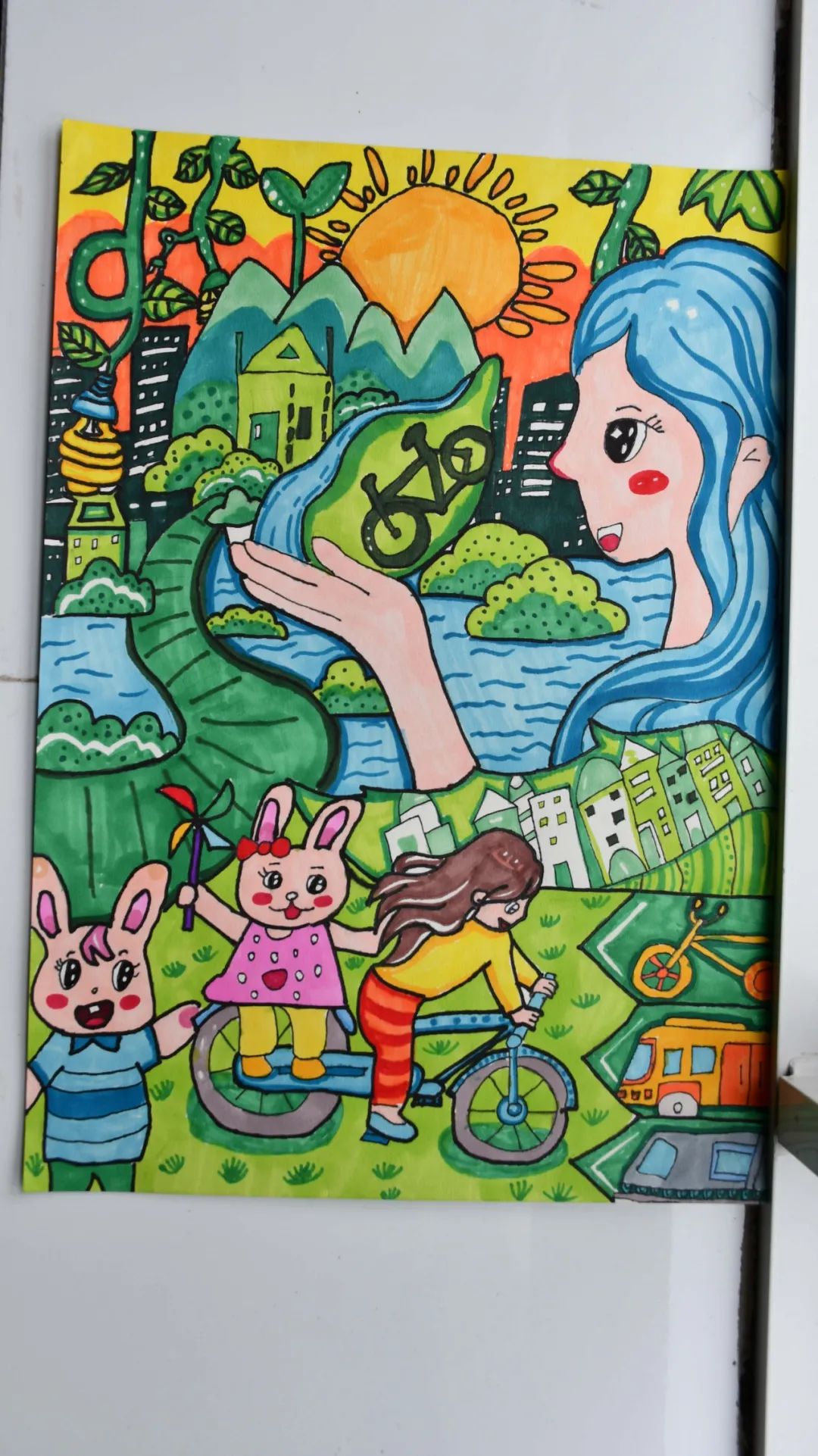 盘龙教育(微信)