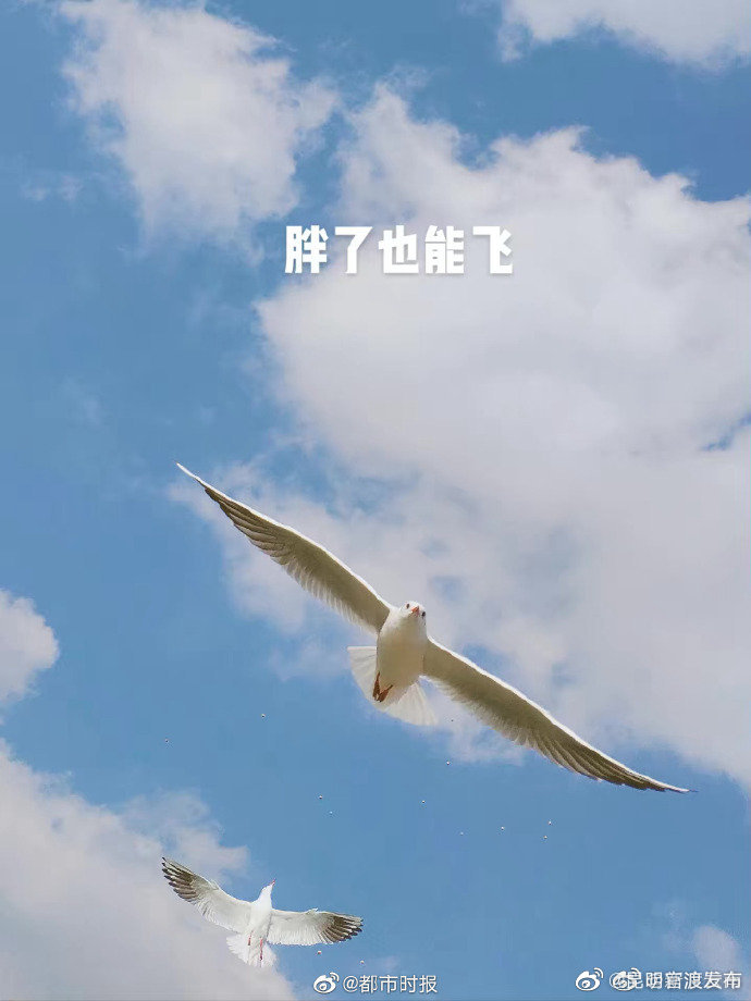 “昆明官渡发布”微博