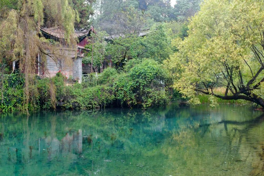 丽江日报