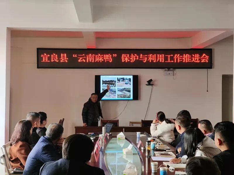 昆明信息港/cnkmxxg