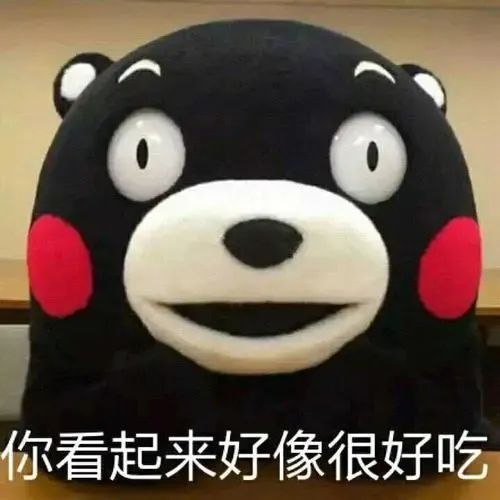 西双版纳望天树景区
