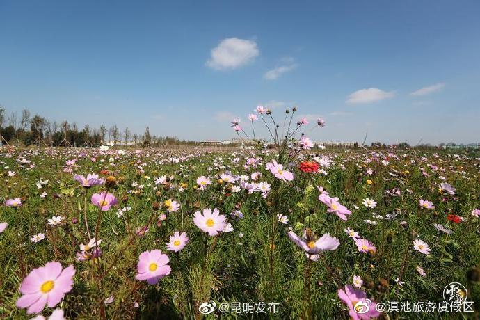 “滇池旅游度假区”微博