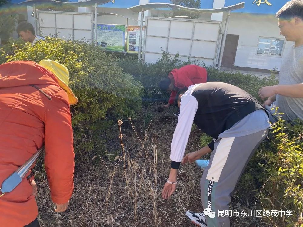 东川教育(微信)