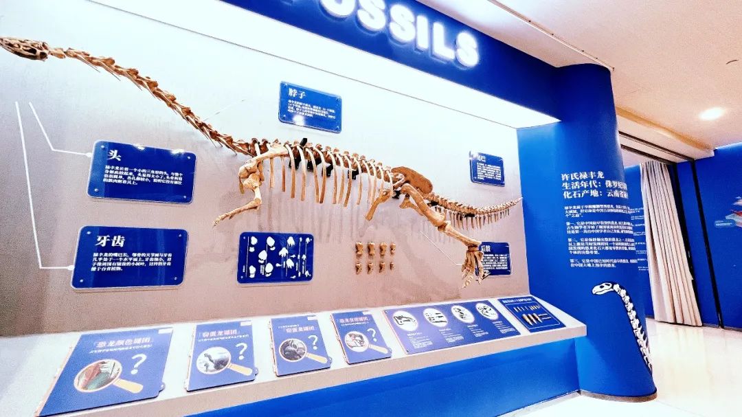 盘龙教育(微信)