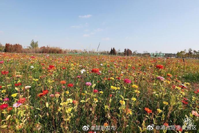 “滇池旅游度假区”微博