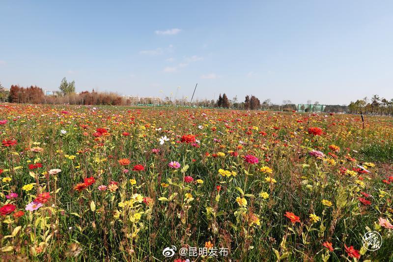 昆明发布