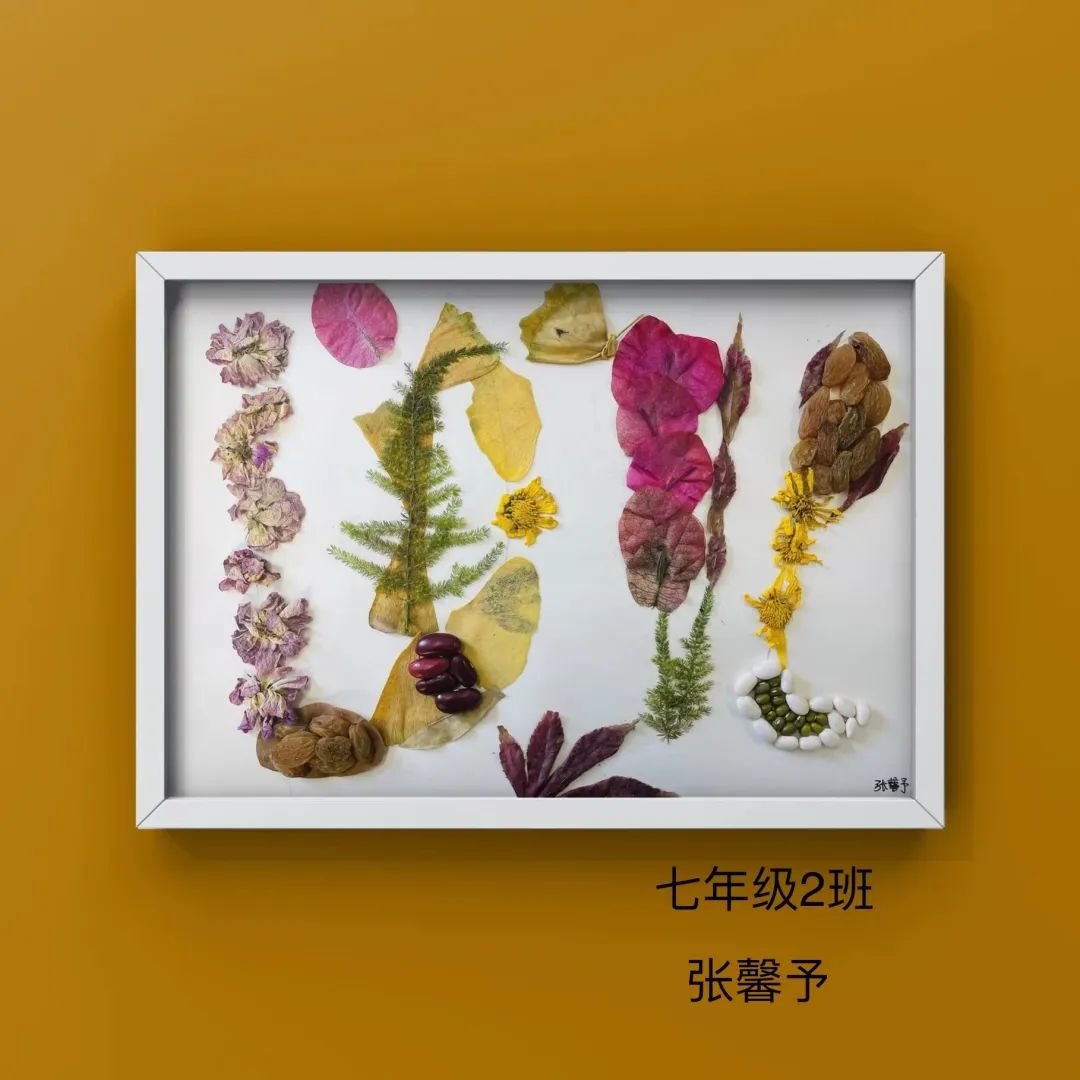 盘龙教育(微信)