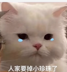 918云南交通台(微信)