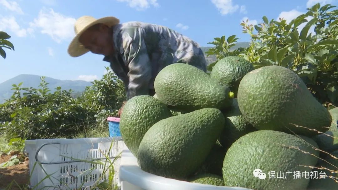保山广播电视台