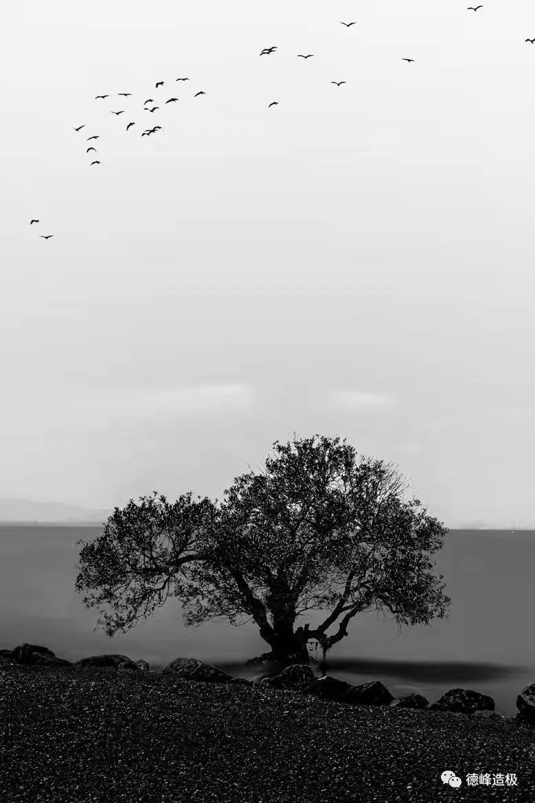 918云南交通台(微信)