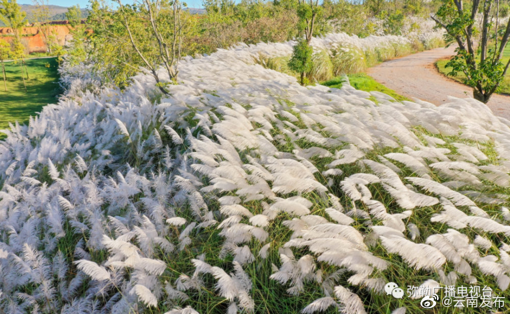 “云南发布”微博