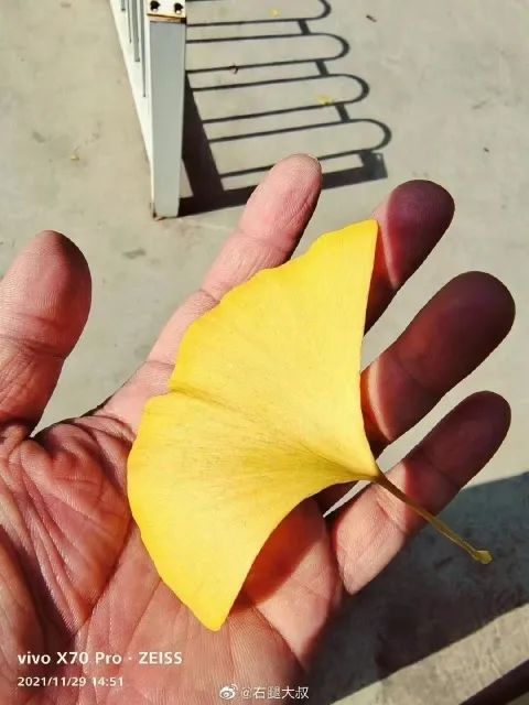 春城晚报