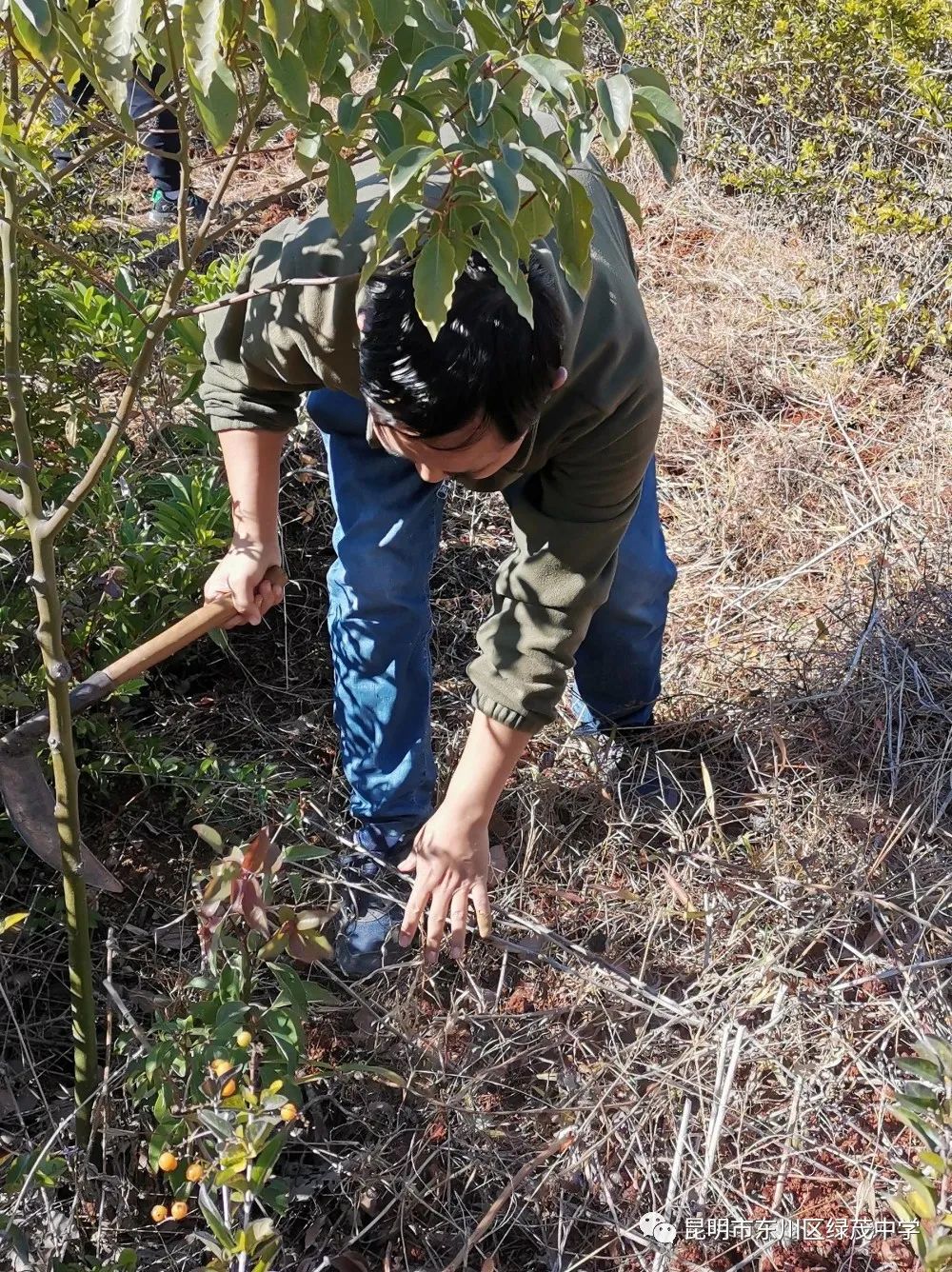 东川教育(微信)