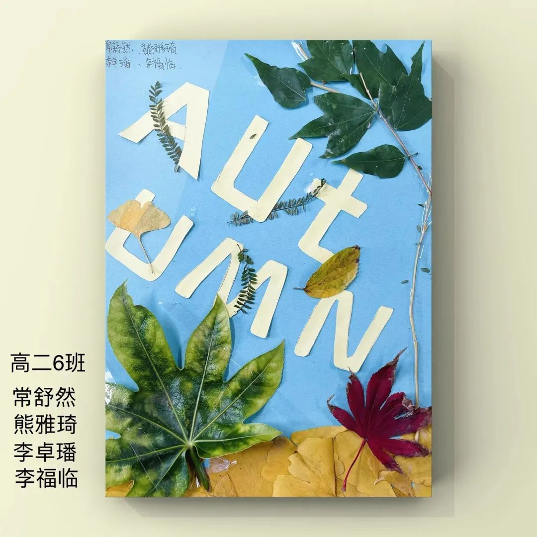 盘龙教育(微信)
