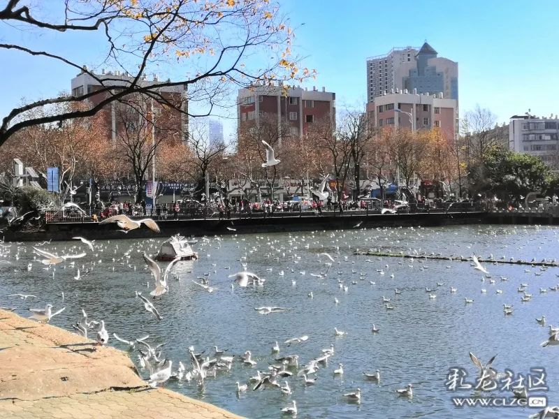 昆明信息港/cnkmxxg