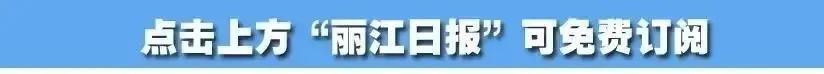 丽江日报