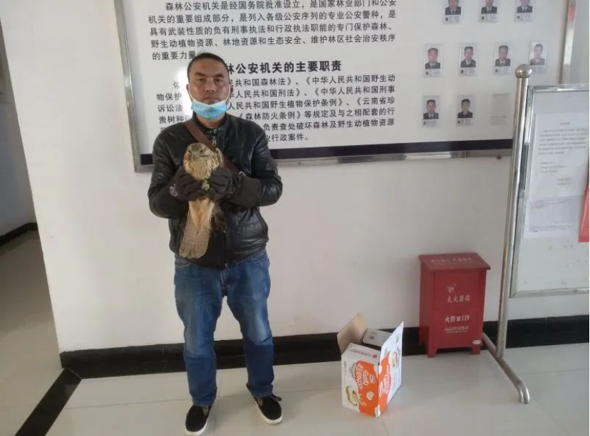 昆明信息港/cnkmxxg