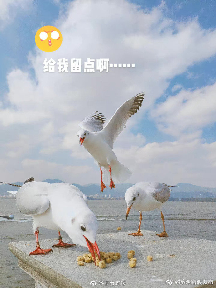 “昆明官渡发布”微博