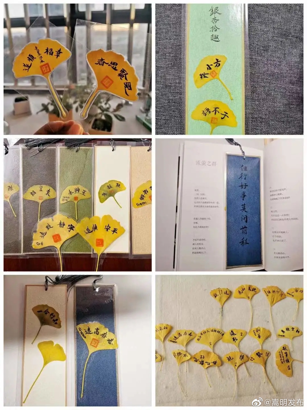 嵩明发布