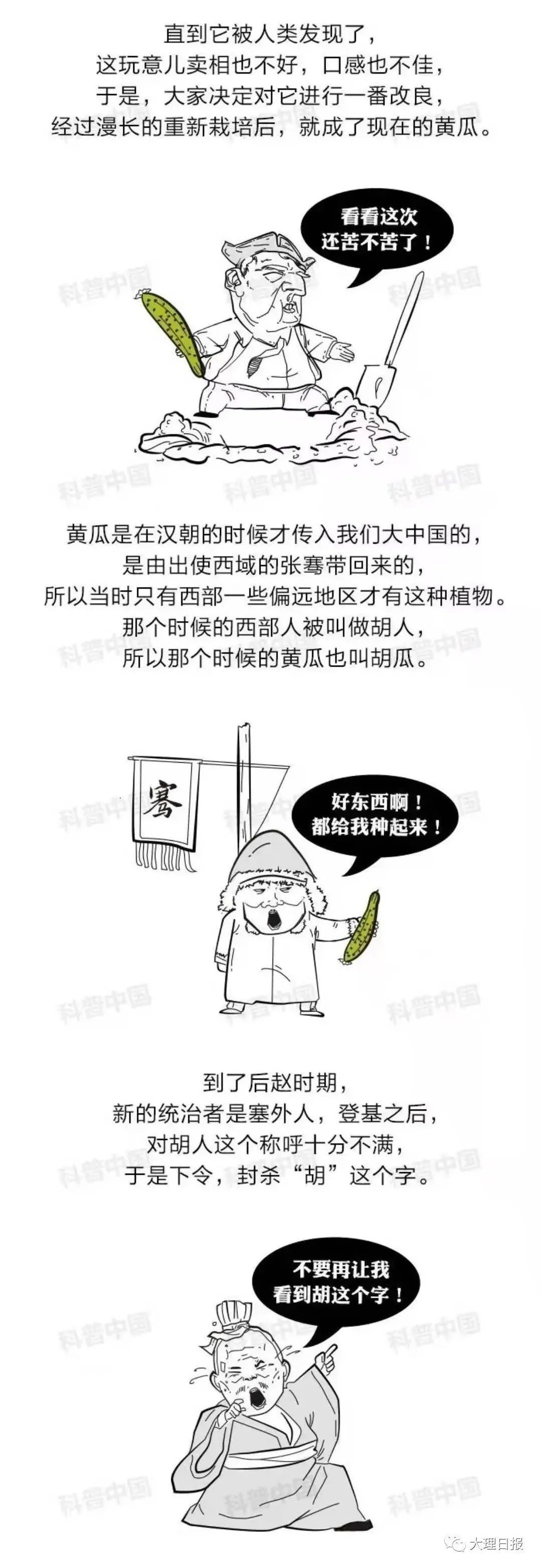 大理日报