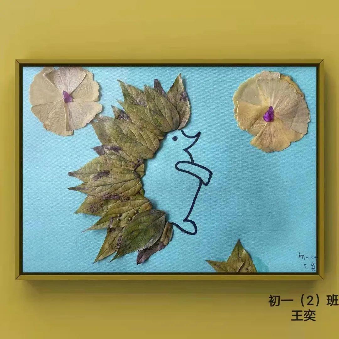 盘龙教育(微信)