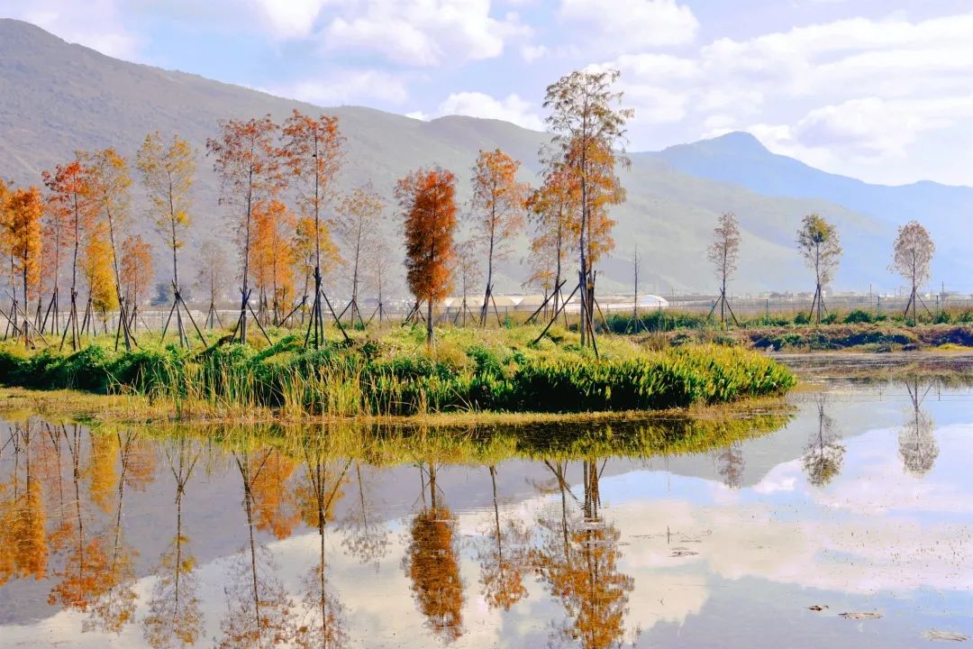 红河文旅