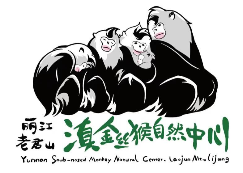 丽江日报
