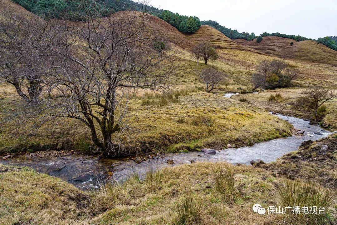 保山广播电视台