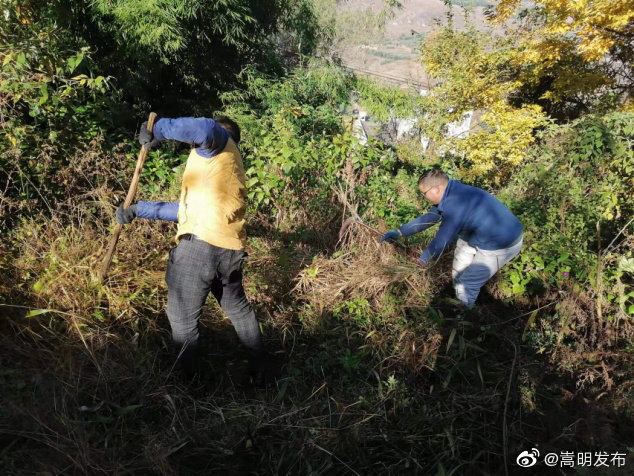 嵩明发布