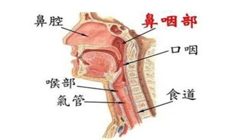云南省中医医院
