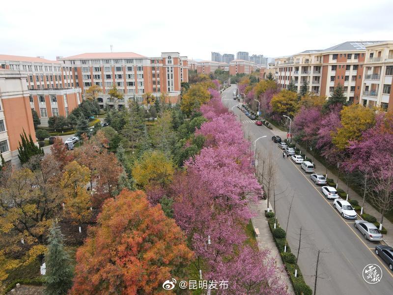 昆明发布