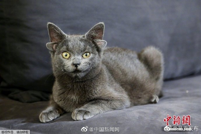 呈贡发布