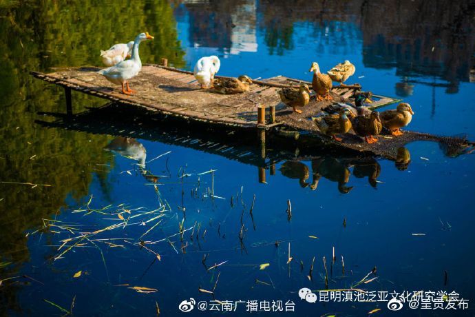 呈贡发布