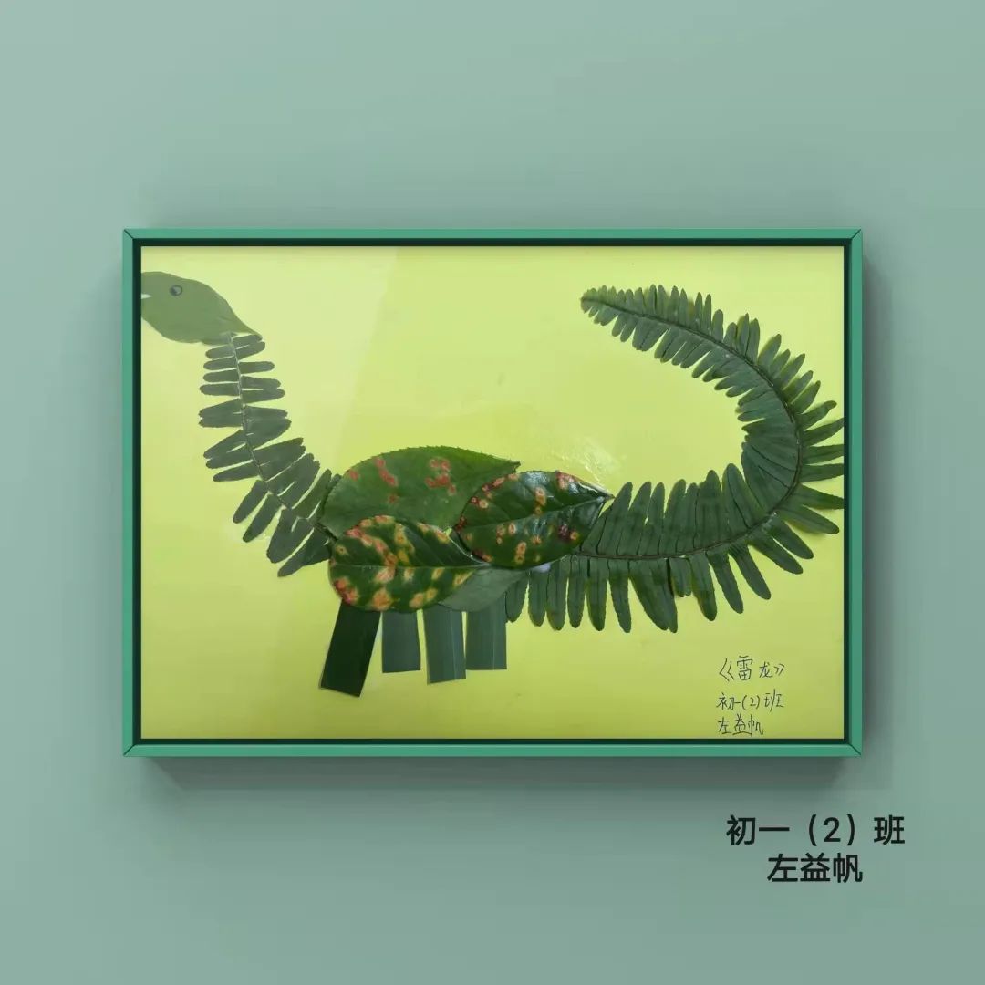 盘龙教育(微信)