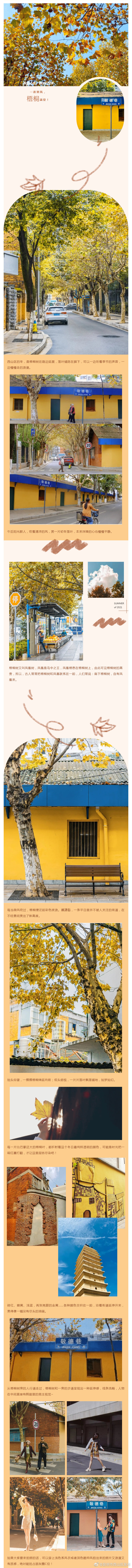 “昆明市西山区发布”微博