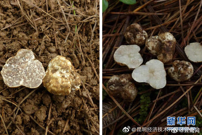 昆明经济技术开发区管委会