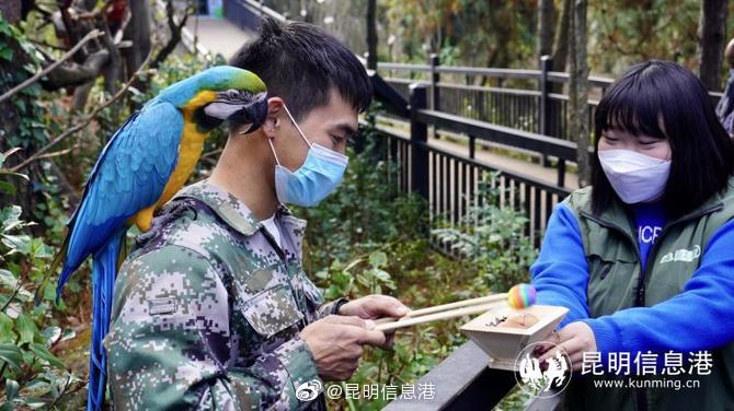 昆明信息港