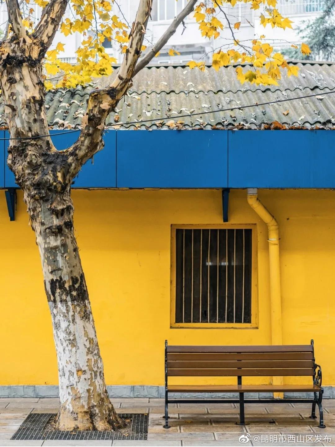 “昆明市西山区发布”微博