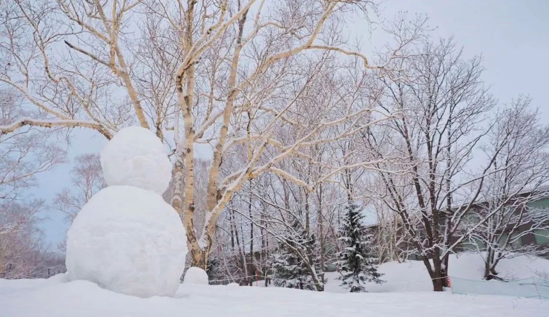 美丽云南微科普
