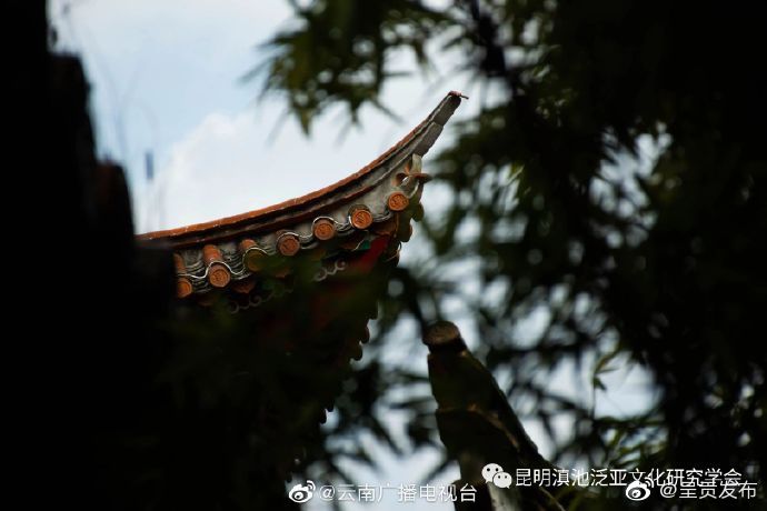 呈贡发布