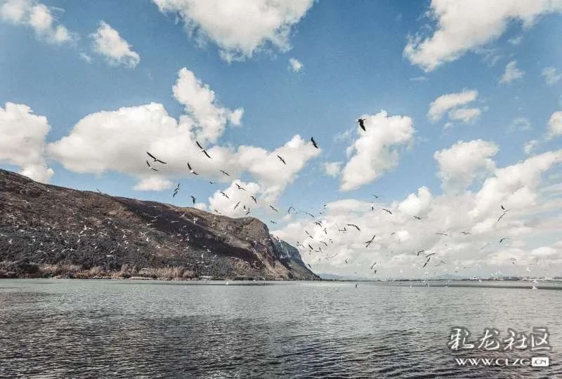 昆明信息港/cnkmxxg