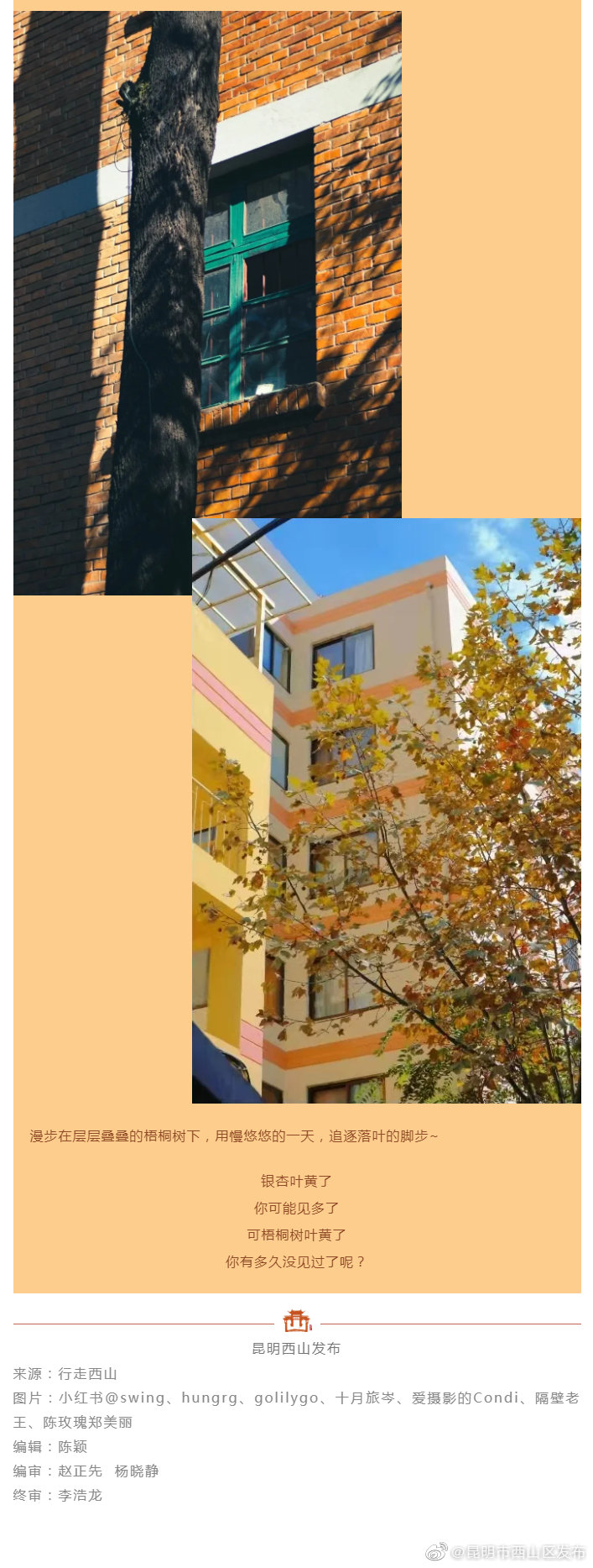 “昆明市西山区发布”微博