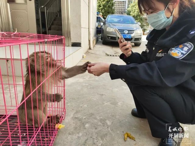 昆明信息港/cnkmxxg
