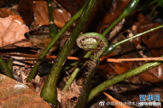 昆明经济技术开发区管委会