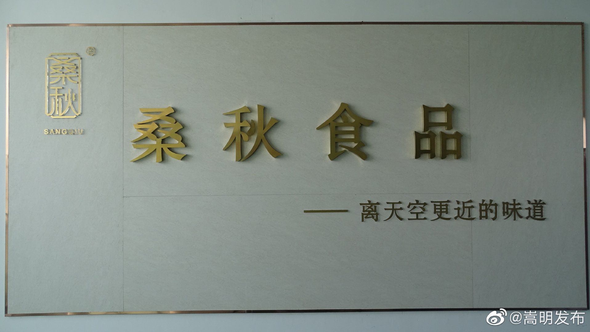 嵩明发布