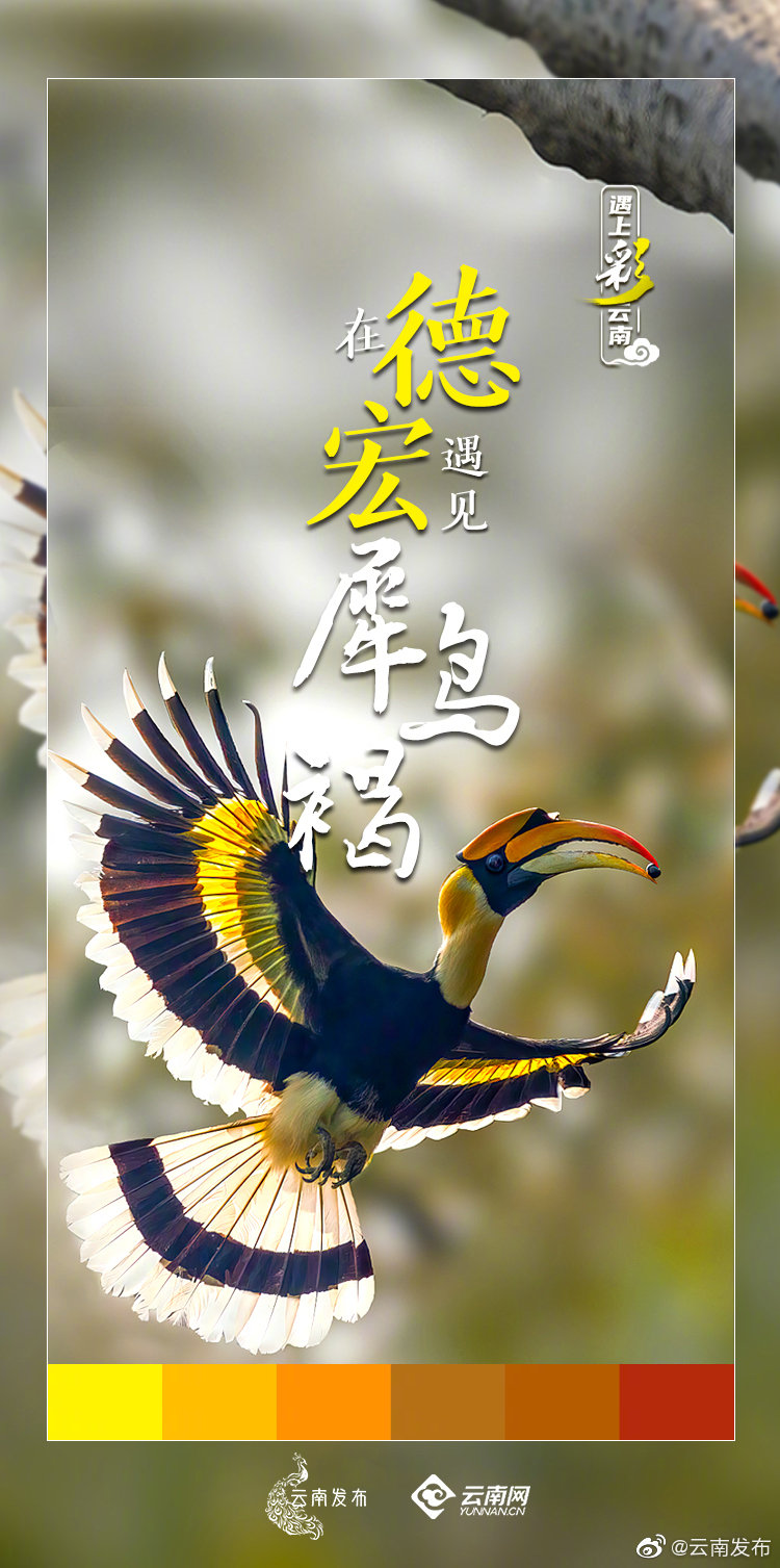 “云南发布”微博