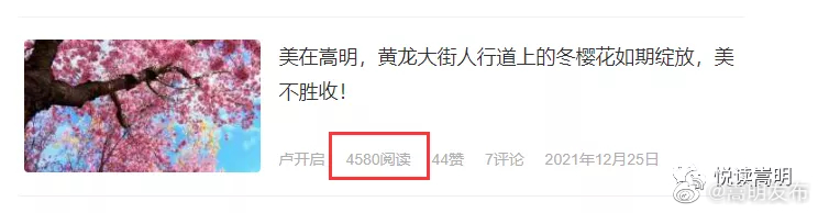 嵩明发布