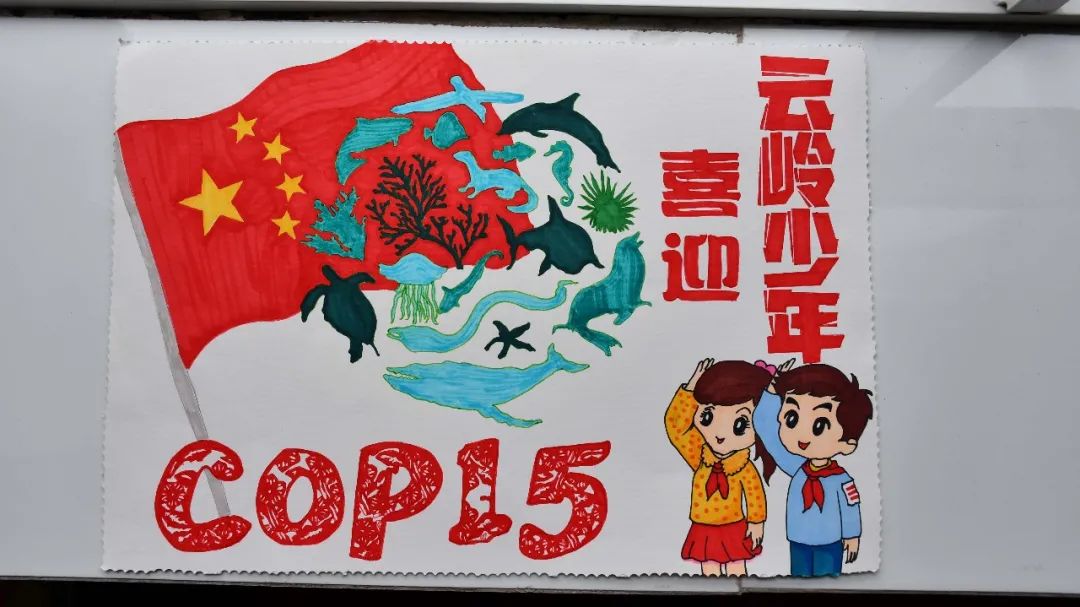 盘龙教育(微信)