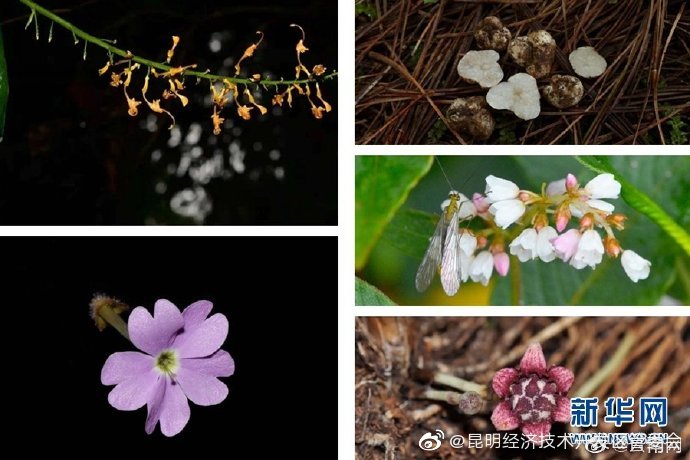 昆明经济技术开发区管委会